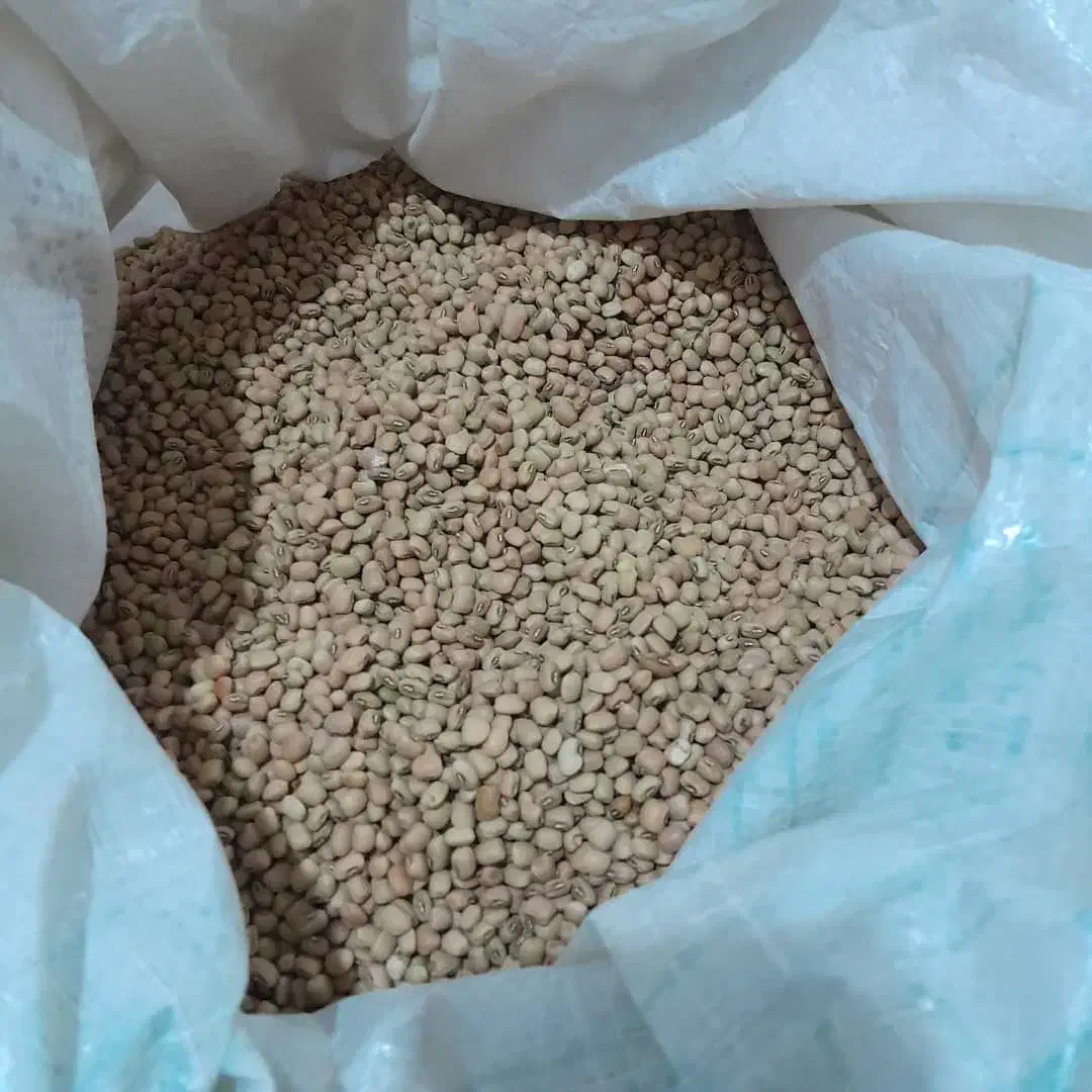 لوبیای محلی|خوردنی و آشامیدنی|دره شهر, |دیوار