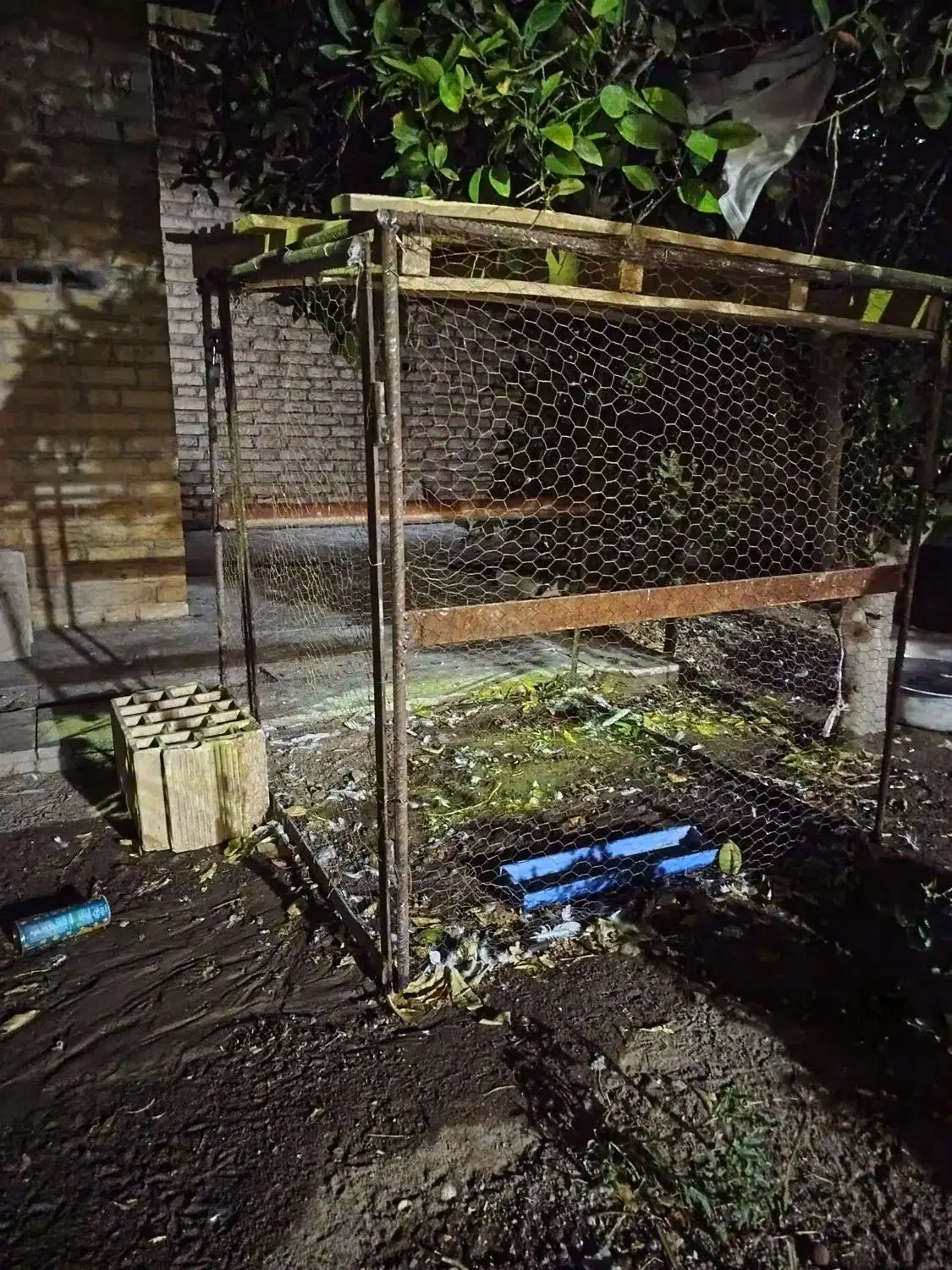 قفس دوطبقه|لوازم جانبی حیوانات|اشکذر, |دیوار