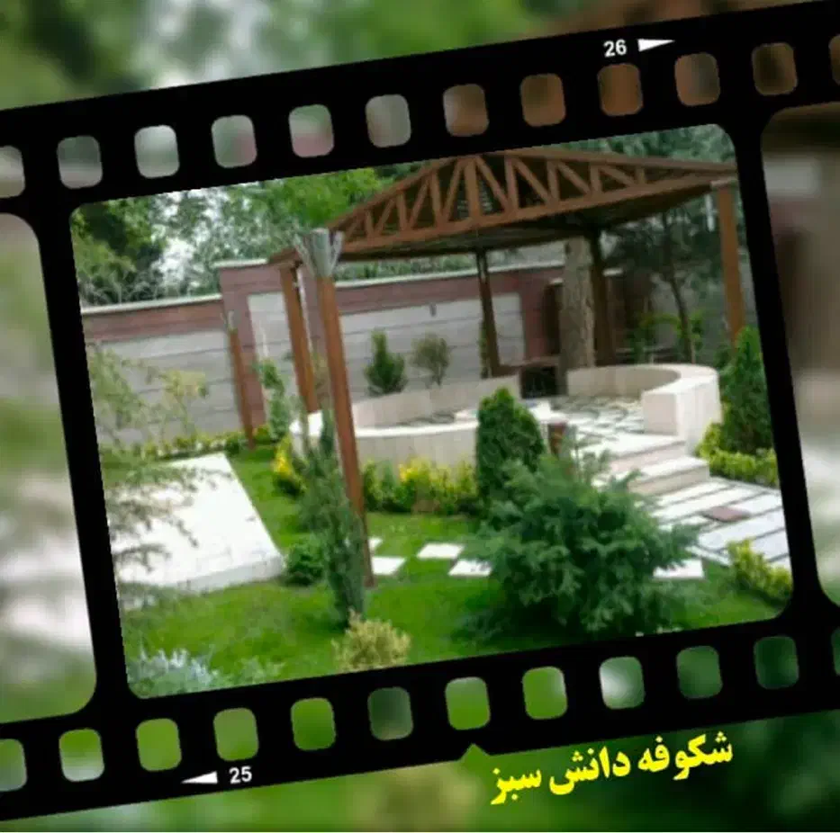 شرکت شکوفه دانش سبز مجری خدمات باغبانی وآبیاری|خدمات باغبانی و درختکاری|اهواز, امانیه|دیوار