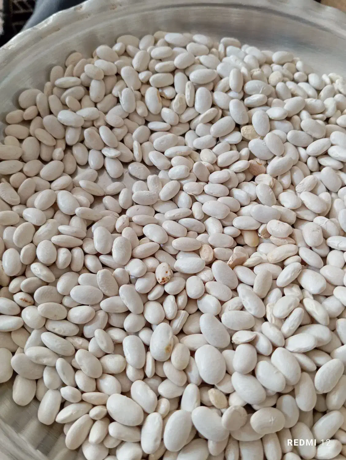 فروشی|حراج|کرج, شهر صنعتی|دیوار