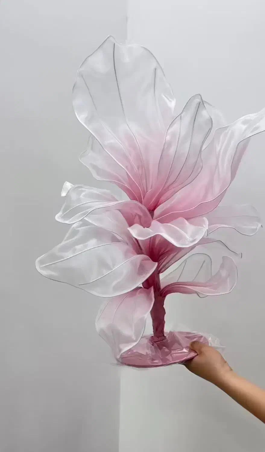 اجاره و فروش گلهای غولپیکر (هدیه رایگان)|خدمات پذیرایی، مراسم|قزوین, |دیوار