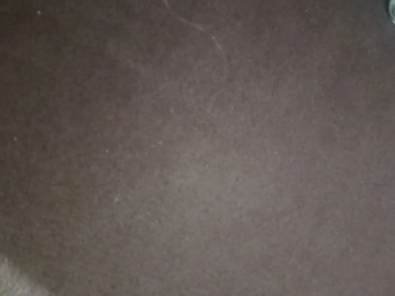 موکت|موکت|محمدیه-قزوین, |دیوار