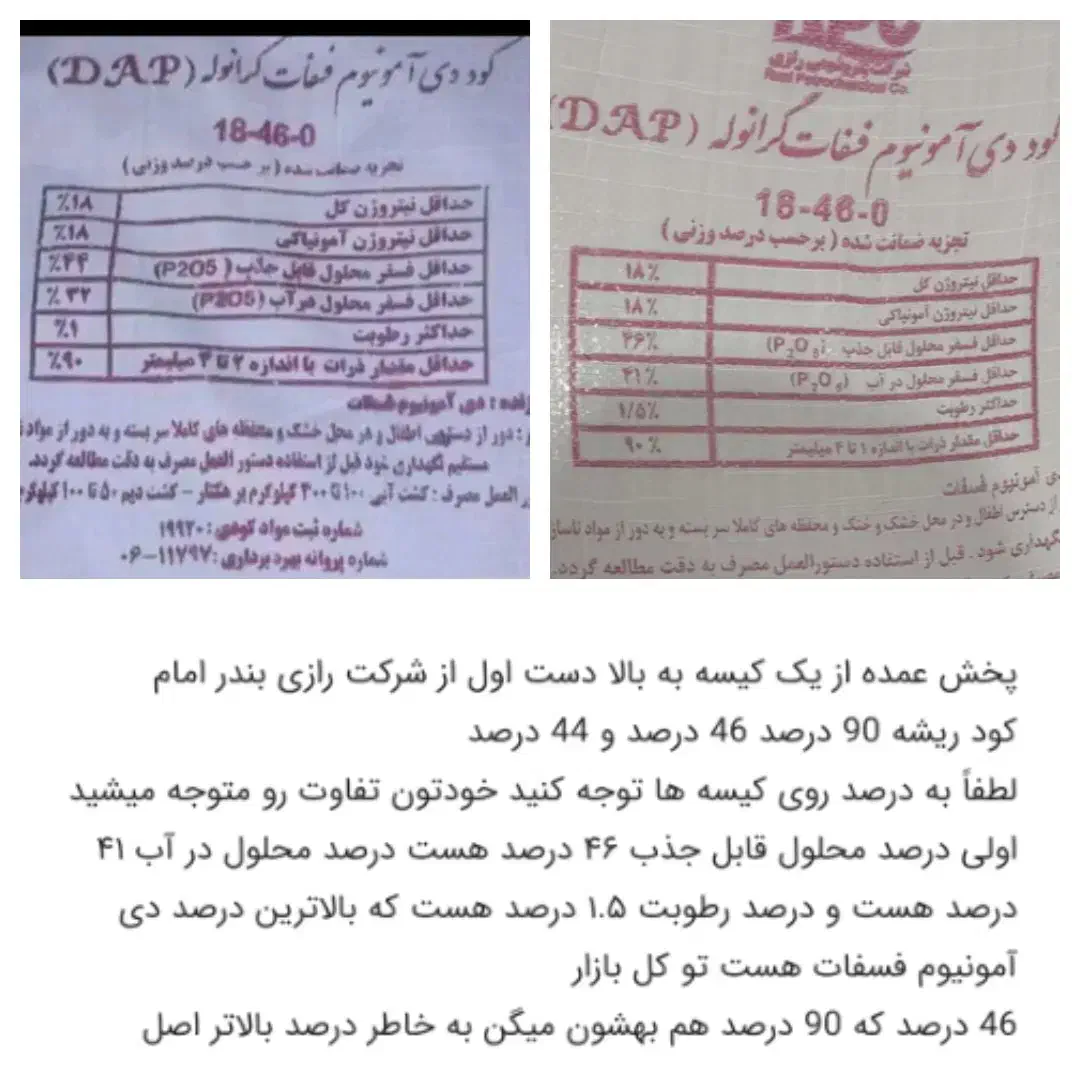 کود ریشه دی امونیوم فسفات گرانوله رازی درجه یک|خدمات باغبانی و درختکاری|شاهیوند, |دیوار