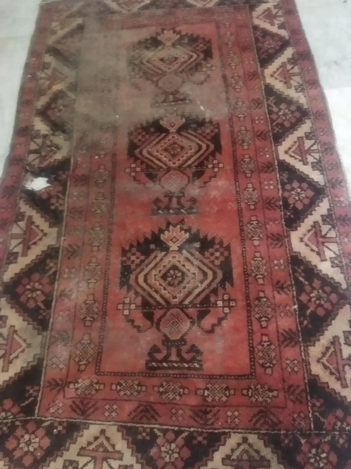 قالیچه دست بافت قدیمی|فرش|ایرانشهر, |دیوار