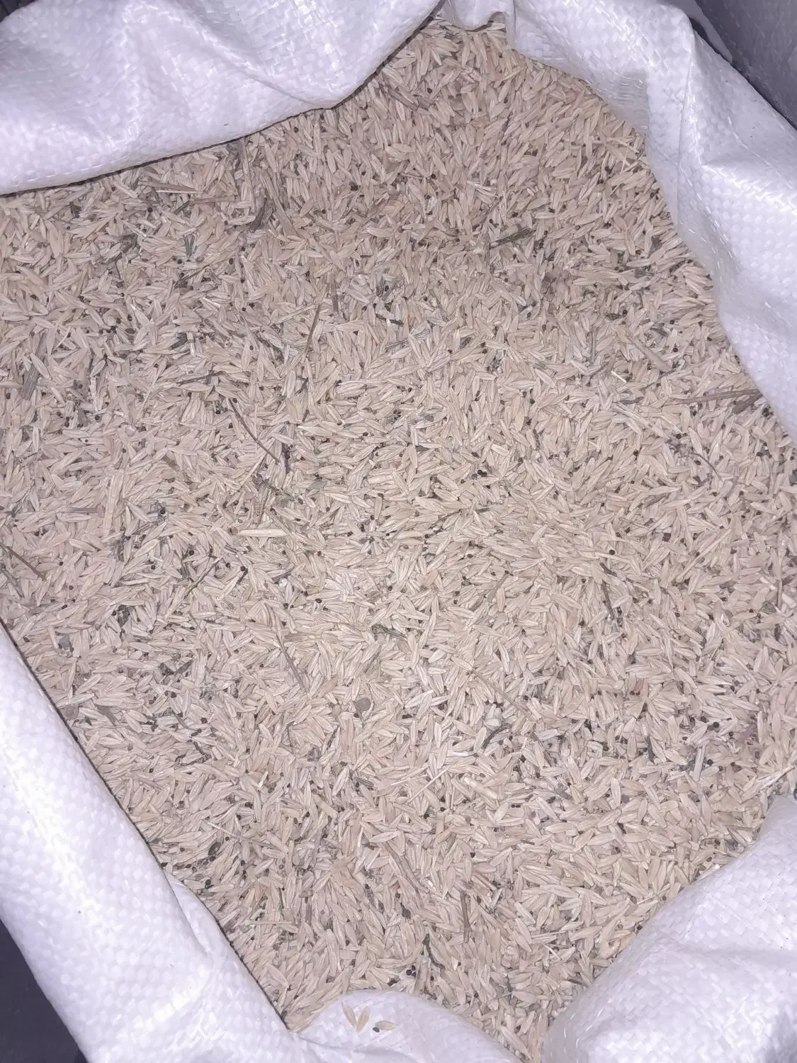 جو محلی|لوازم جانبی حیوانات|خواجه, |دیوار