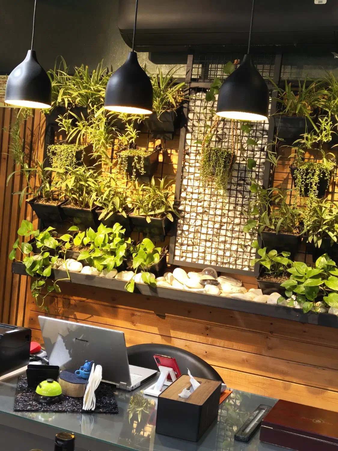 باریستا پاره وقت|استخدام خدمات فروشگاه و رستوران|هشتگرد, تهران دشت|دیوار