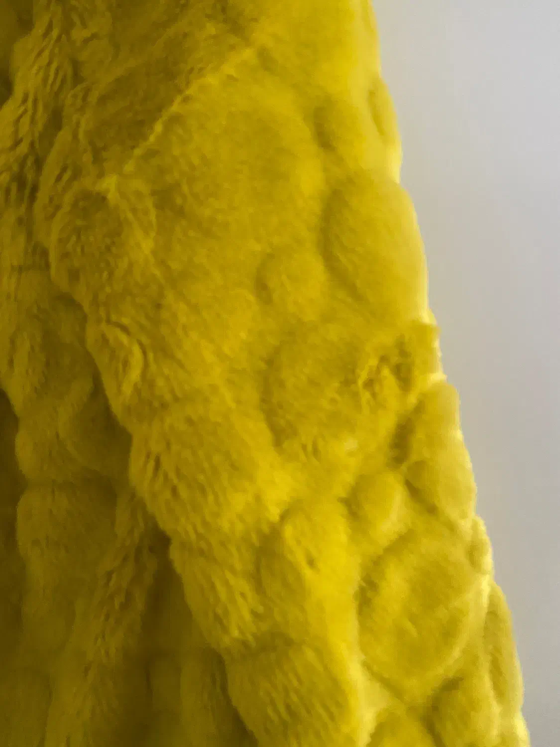 کت خز|لباس|رشت, فلسطین|دیوار