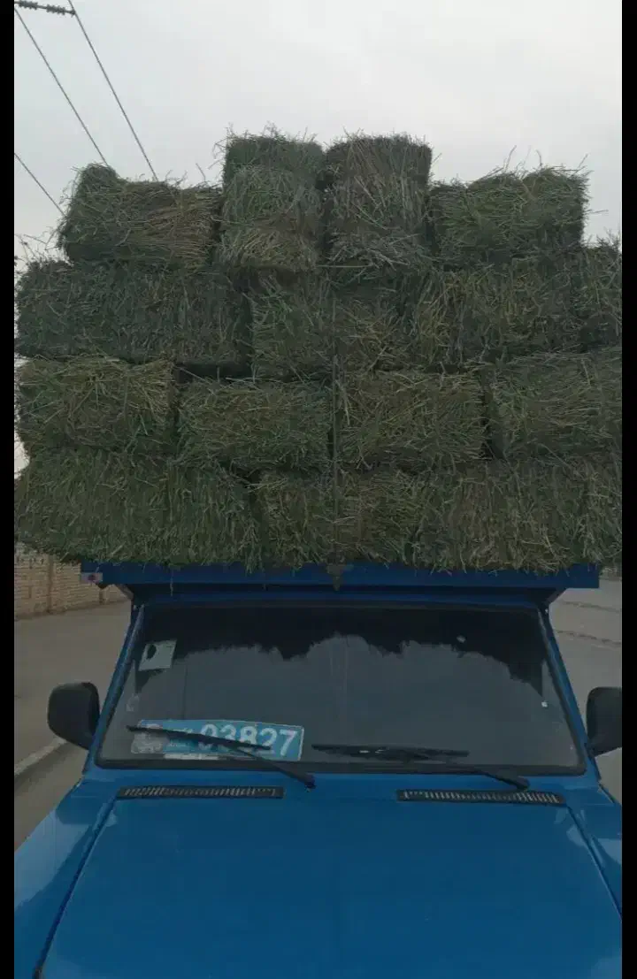 یونجه انباری درجه یک|عمده‌فروشی|دشتابی, |دیوار