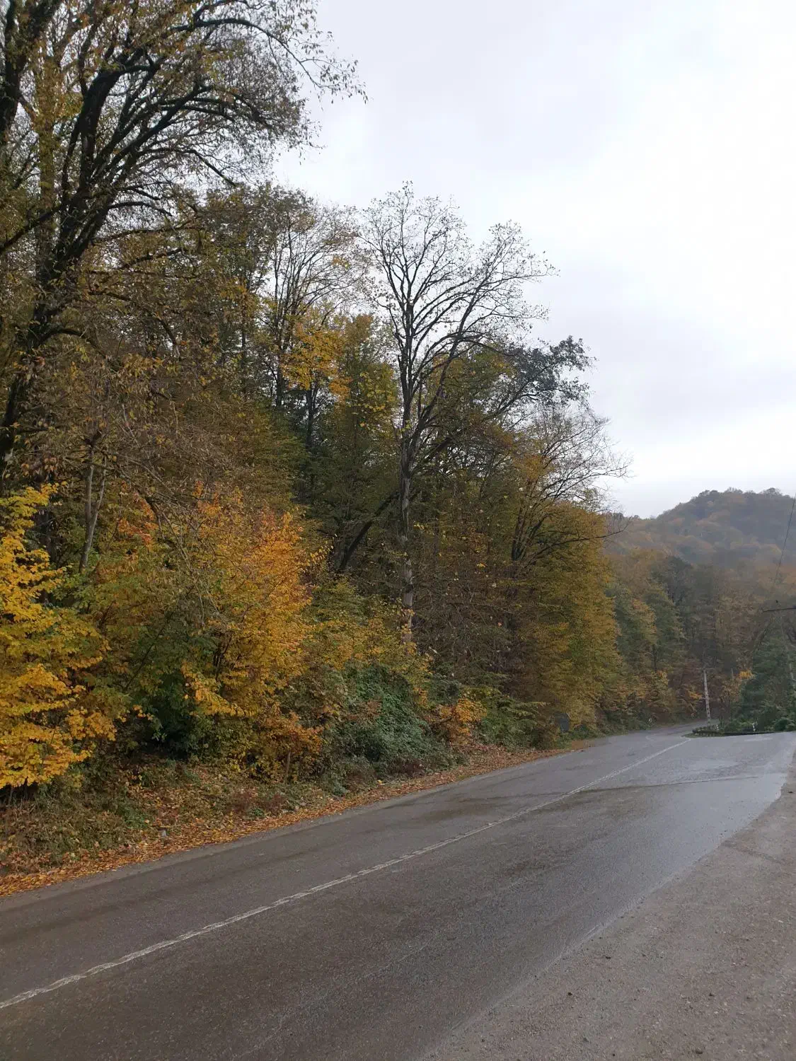 سرمایه گذاری طلایی،فروش مغازه درمنطقه آزادچالوس|فروش مغازه و غرفه|چالوس, |دیوار