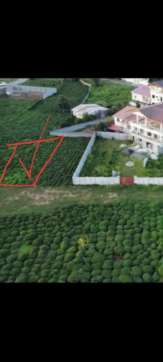 ۴۰۲متر زمین مسکونی در واجارگاه|فروش زمین و ملک کلنگی|واجارگاه, |دیوار