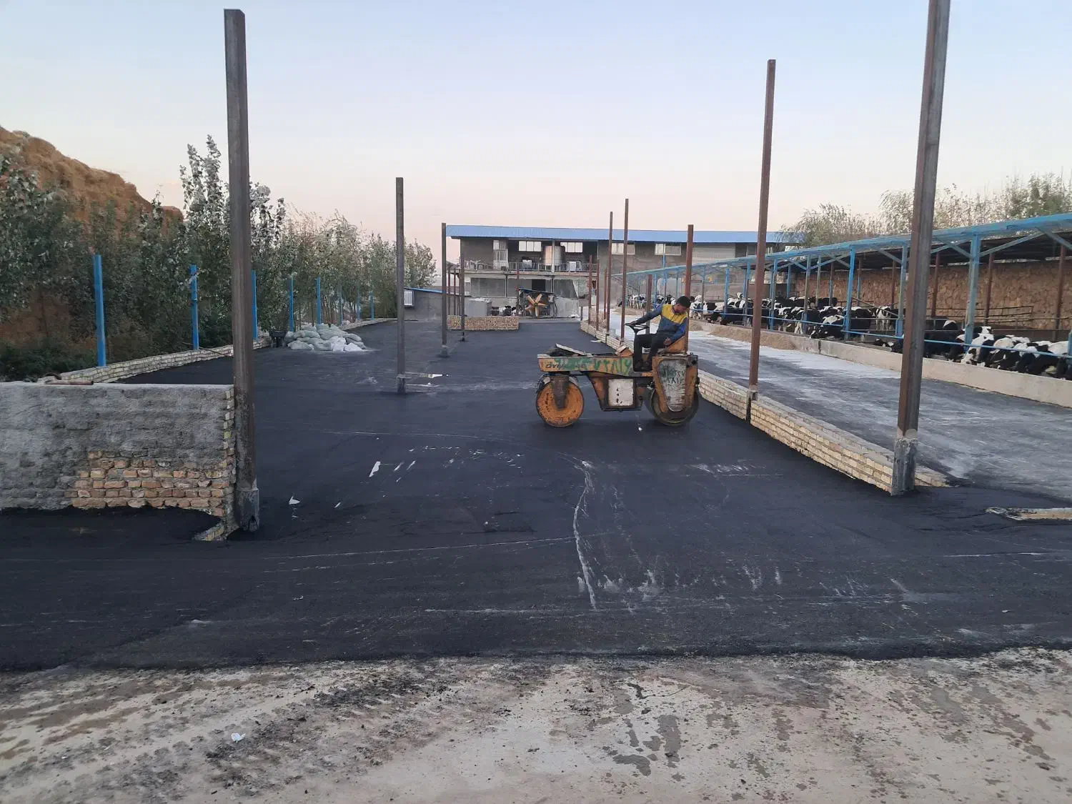 آسفالت نمونه اجاره دستگاه آلات آسفالت غلطک|خدمات پیشه و مهارت|مشهد, نوید|دیوار