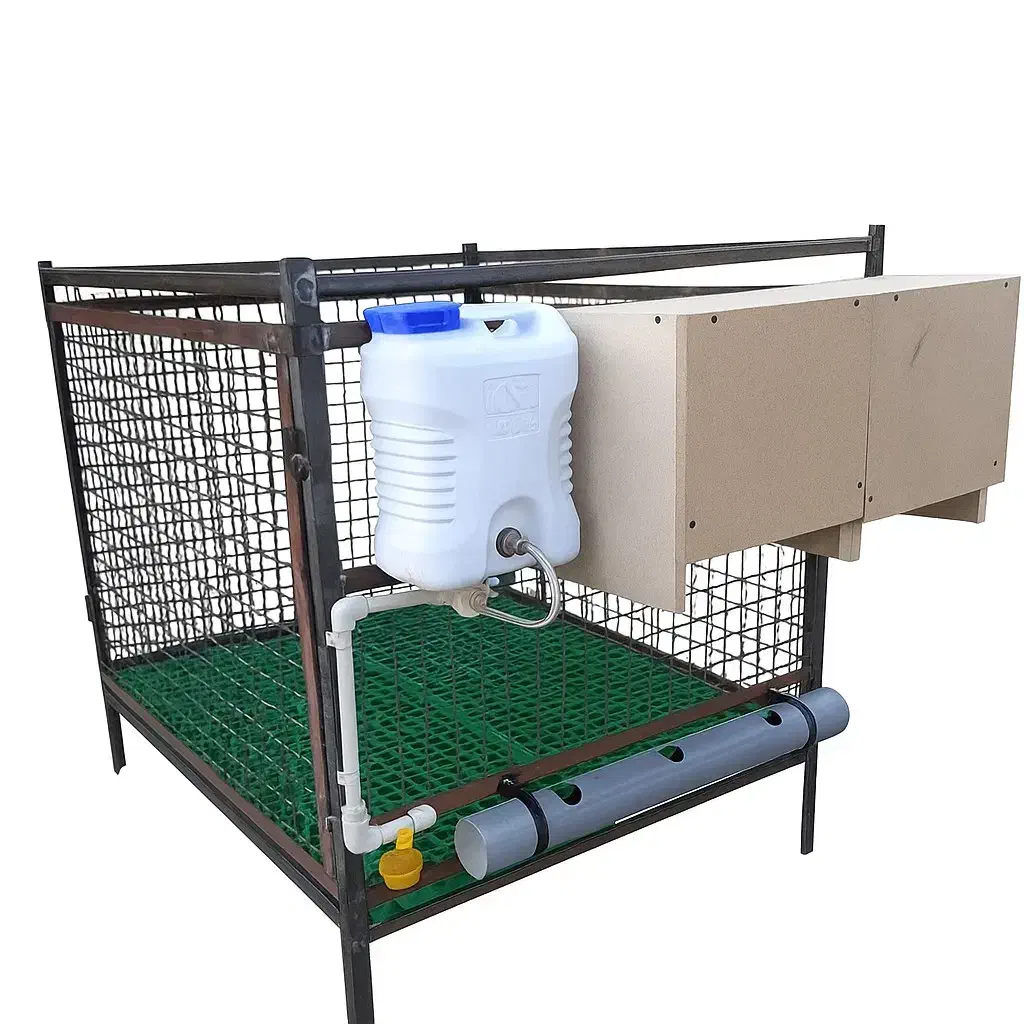 قفس مرغ و خروس|لوازم جانبی حیوانات|بوکان, |دیوار