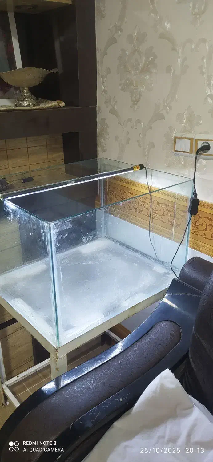 اکواریم|ماهی|گناباد, |دیوار