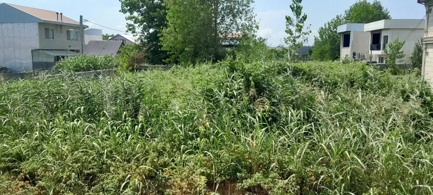 زمین 204 متری دستک. خزر مسکونی سند تکبرگ|فروش زمین و ملک کلنگی|کیاشهر, |دیوار