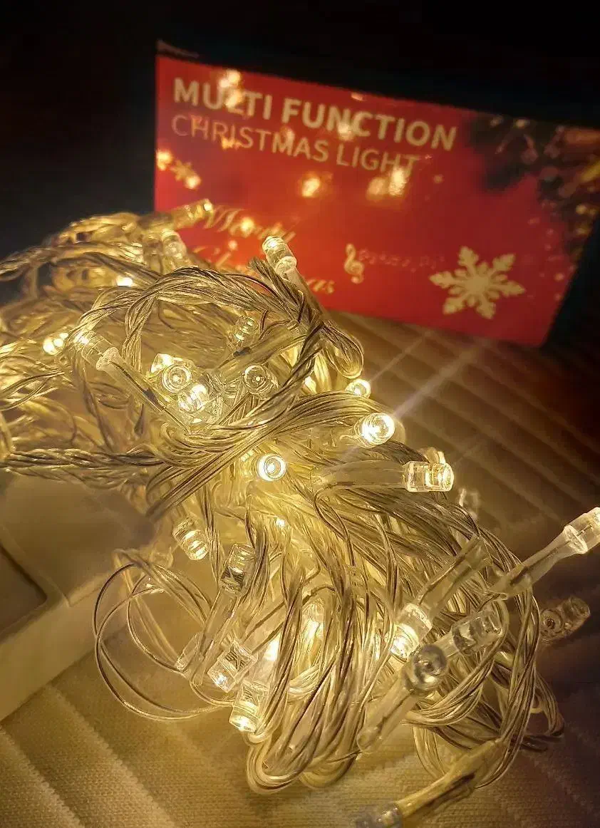 ریسه ال ای دی 100-LED|ریسه و چراغ تزئینی|یزد, |دیوار