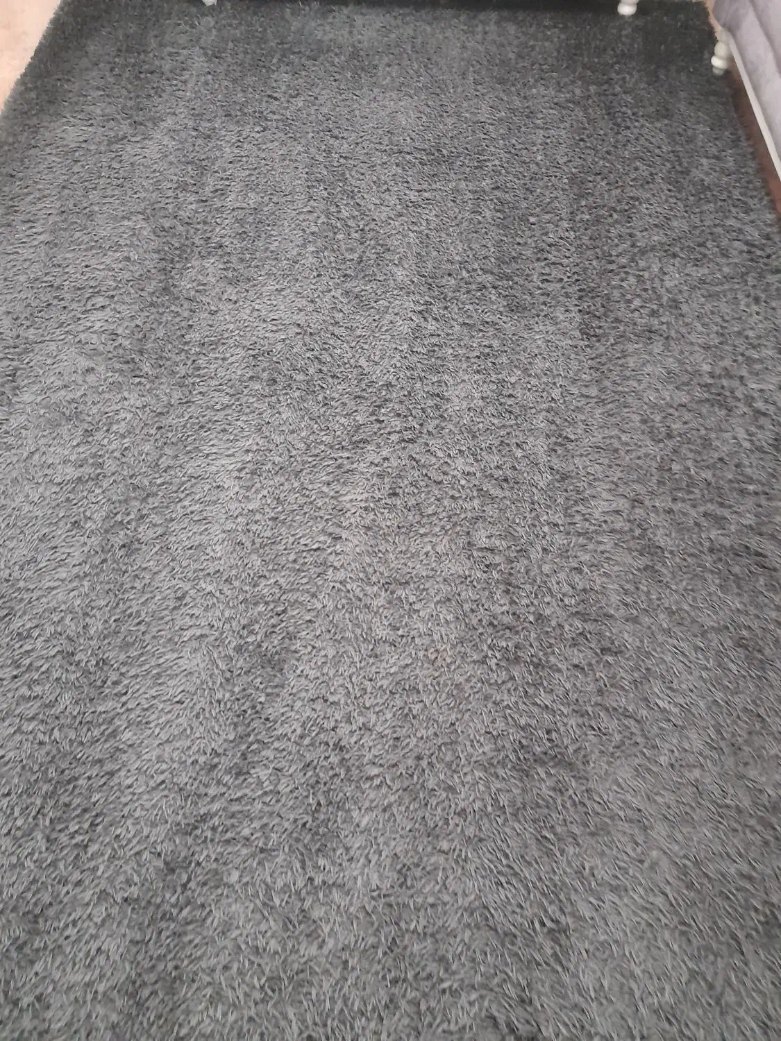 فرش|فرش|رشت, فرزانه|دیوار