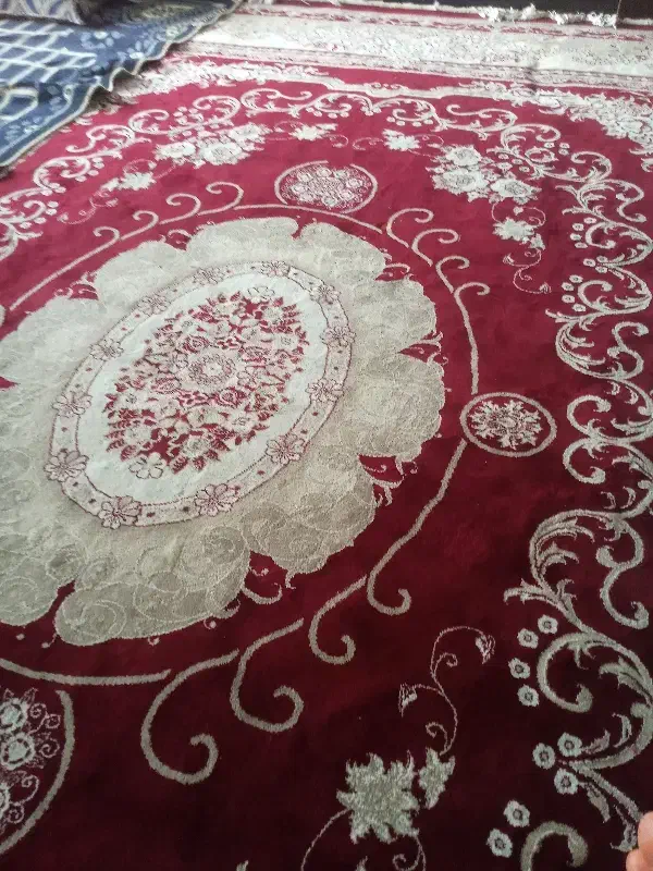 دو عدد قالی۱۲ متری|فرش|کوهدشت, |دیوار