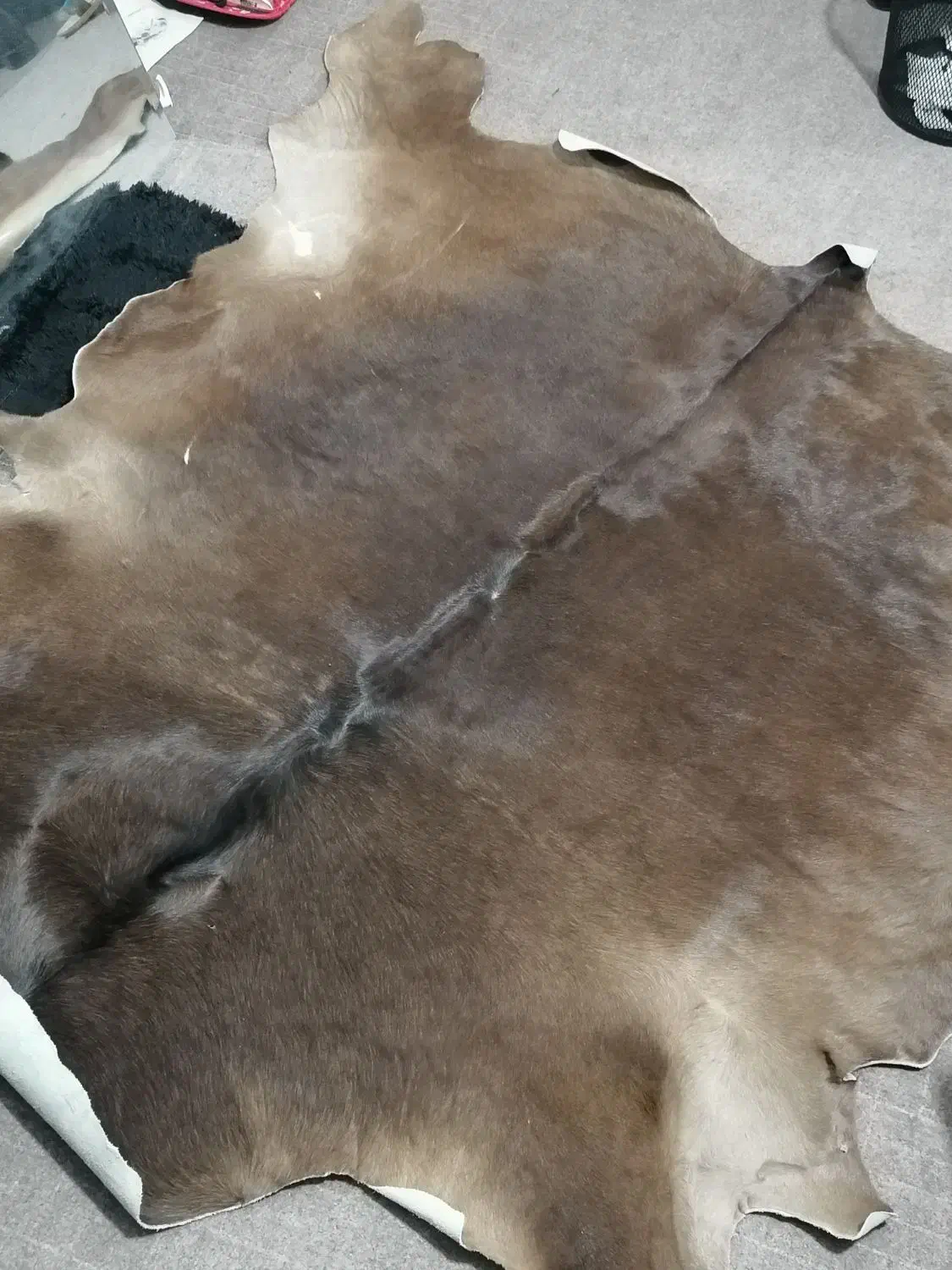 پوست گاو|صنایع دستی و سایر لوازم تزئینی|شاهینشهر, فردوسی|دیوار