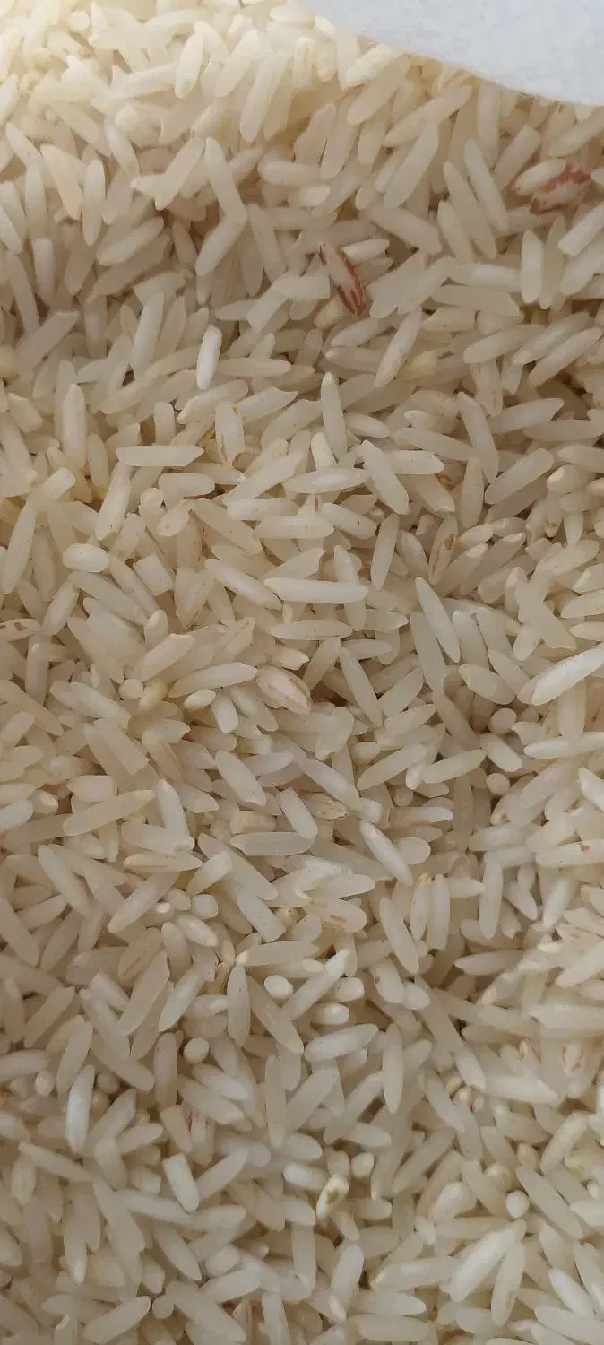 برنج ایرانی. شیروان چرداول|خوردنی و آشامیدنی|اسلامآباد غرب, |دیوار