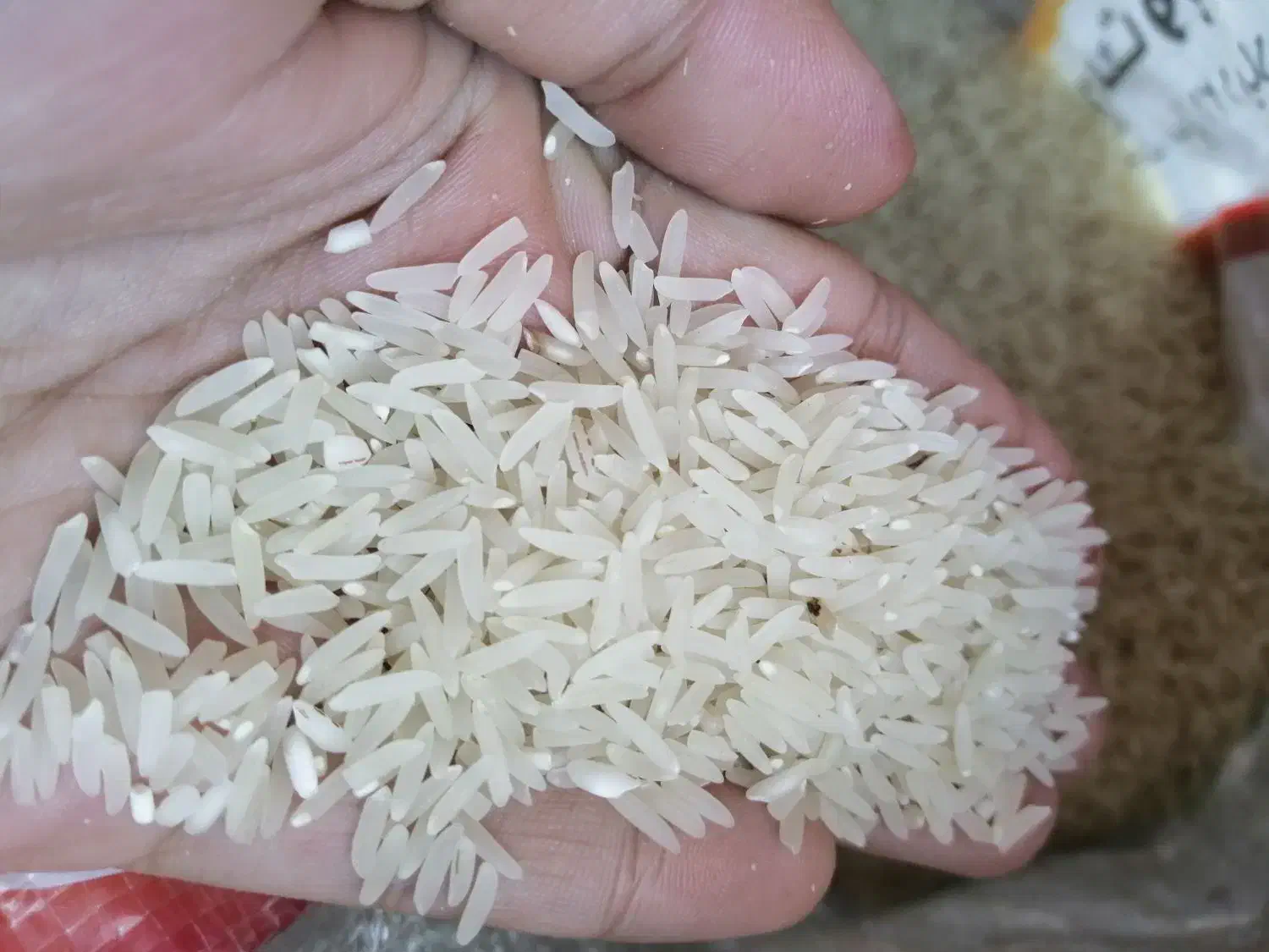 برنج فجر|خوردنی و آشامیدنی|گنبد کاووس, |دیوار