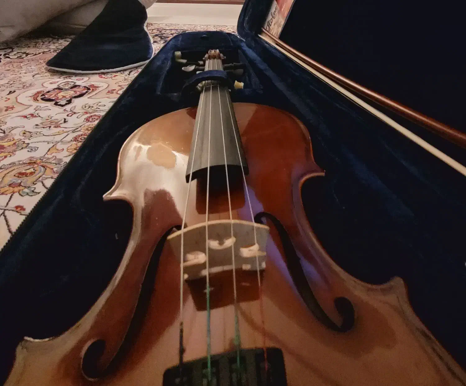 ویولن ۲/۴|ویولن|فردیس, نسترن غربی|دیوار