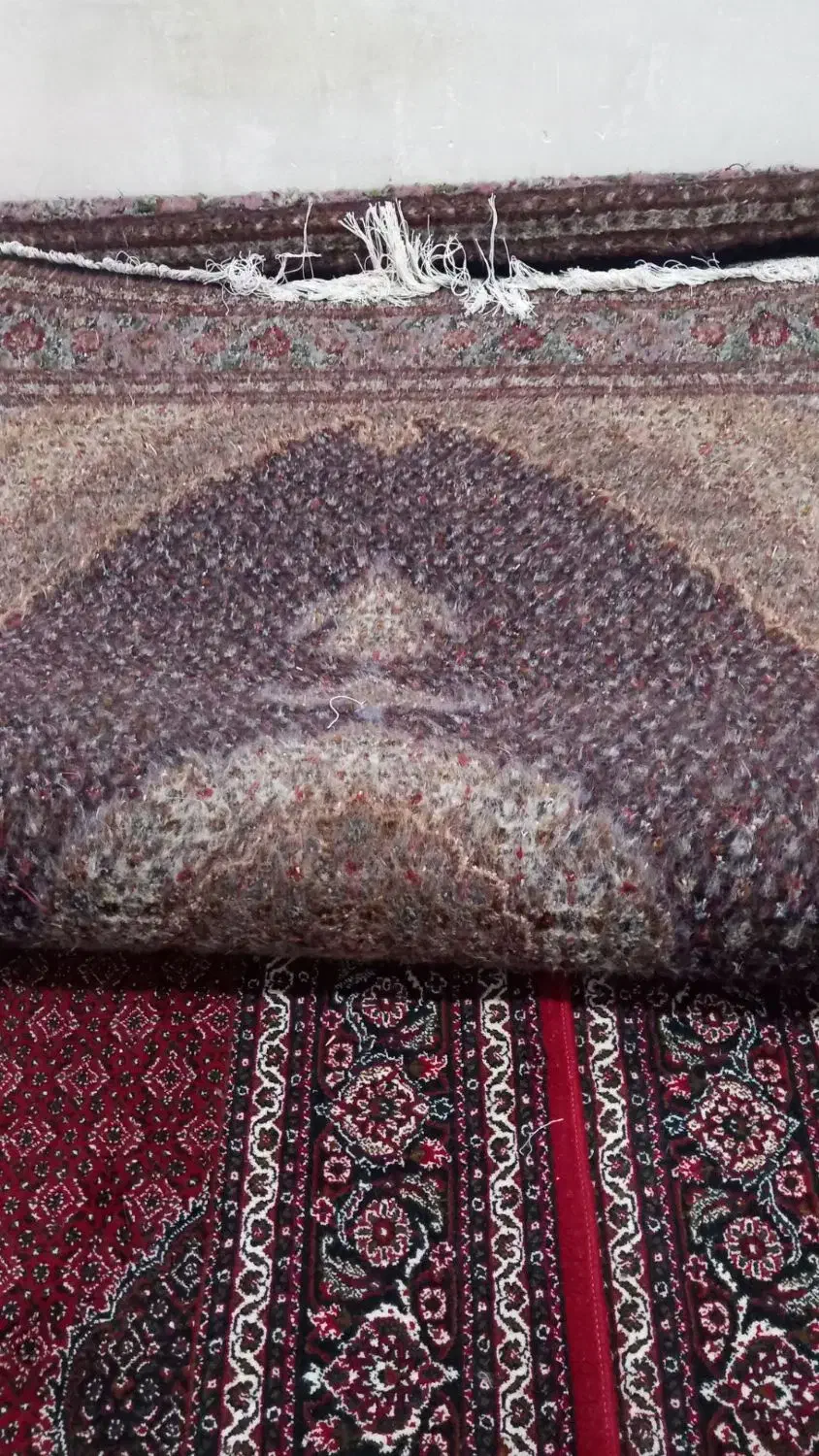 فرش دستباف|فرش|اردبیل, |دیوار