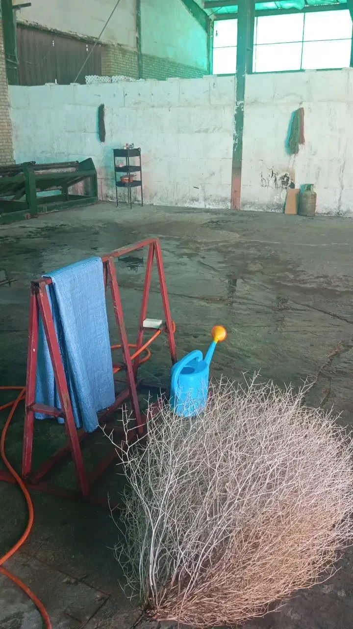 واگذاری کارگاه نمد مالی دستگاه ۶ متری|ماشینآلات صنعتی|شاهرود, |دیوار