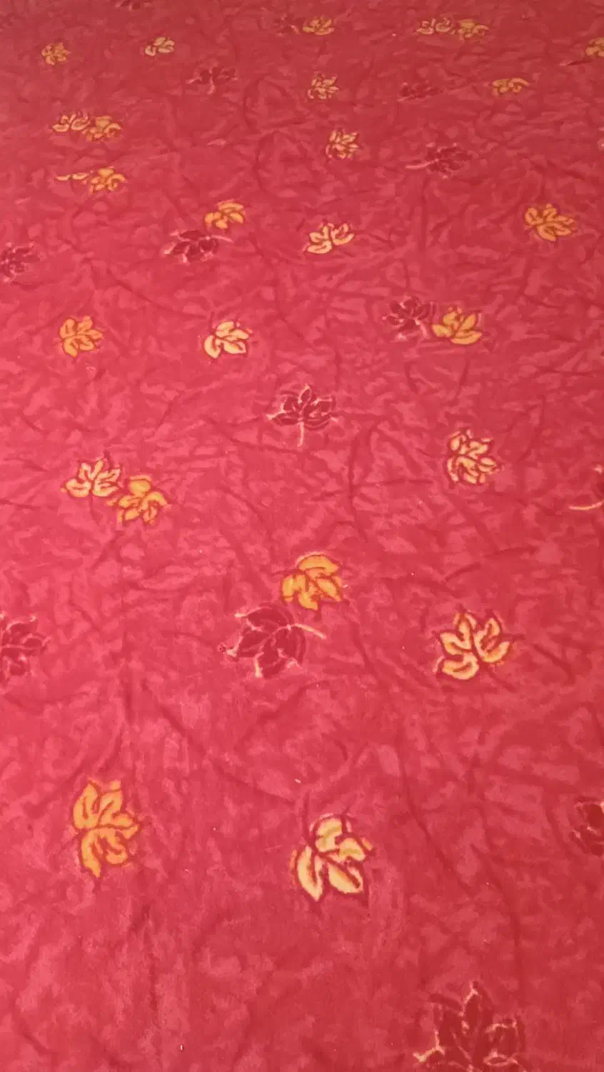 موکت سالم و تمیز|موکت|آبیک, |دیوار