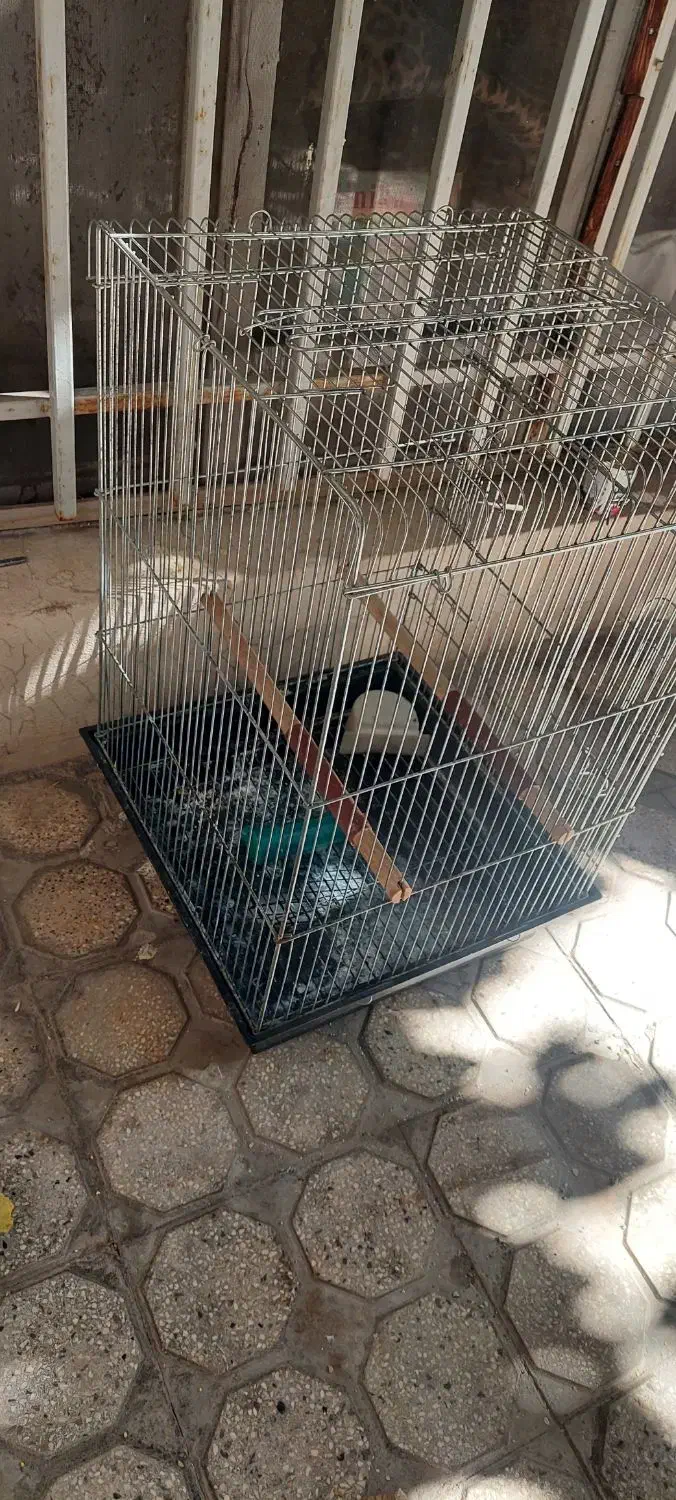 قفس طوطی و مرغ مینا|لوازم جانبی حیوانات|شیراز, محراب|دیوار