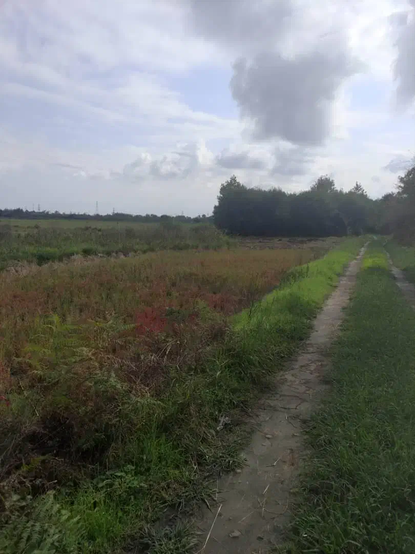 فروش مزرعه مکانیزه به متراژ۳۶۰۰متر ۵۰۰متری خیابان|فروش زمین و ملک کلنگی|املش, |دیوار