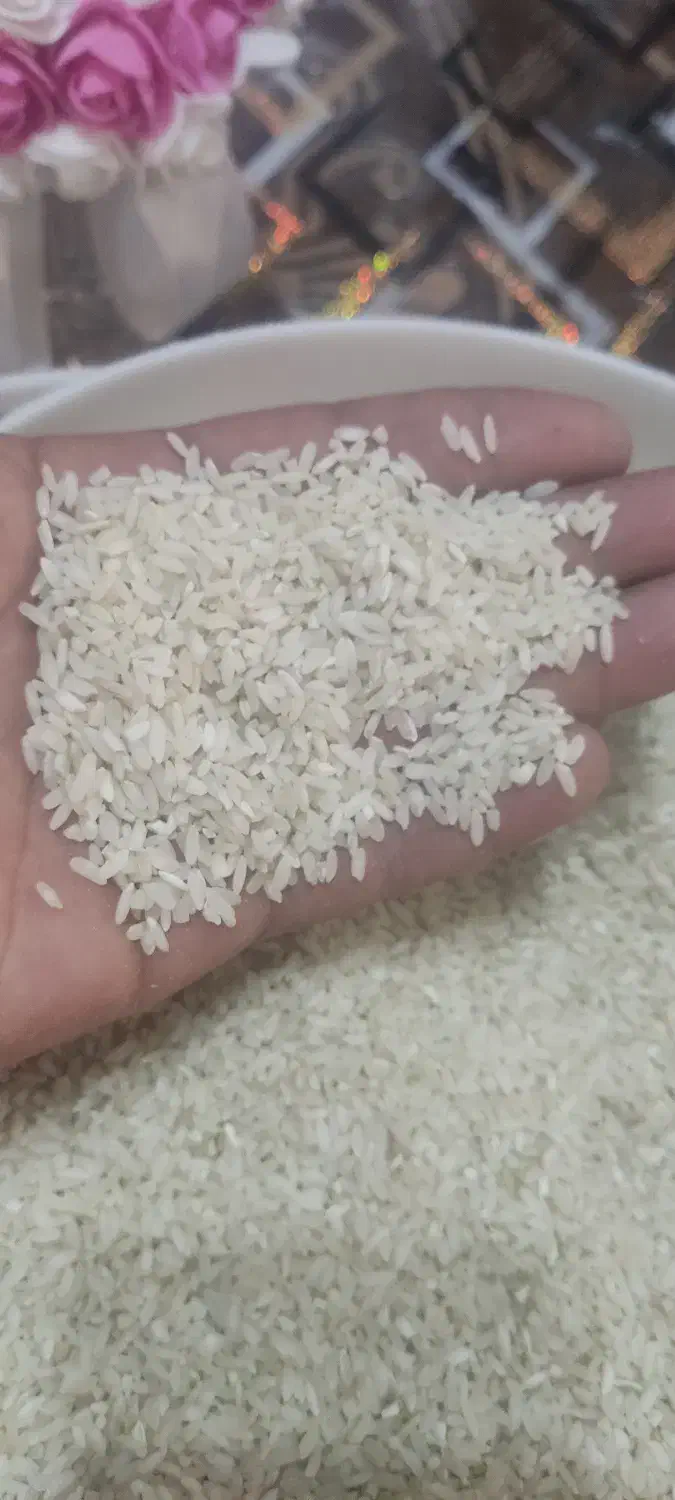 برنج چمپا فلارد|خوردنی و آشامیدنی|فلارد, |دیوار