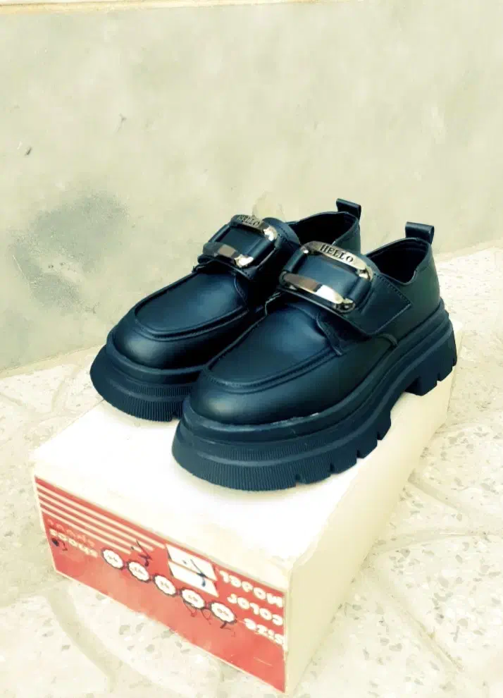 کفش لووفر|کیف، کفش، کمربند|اراک, |دیوار