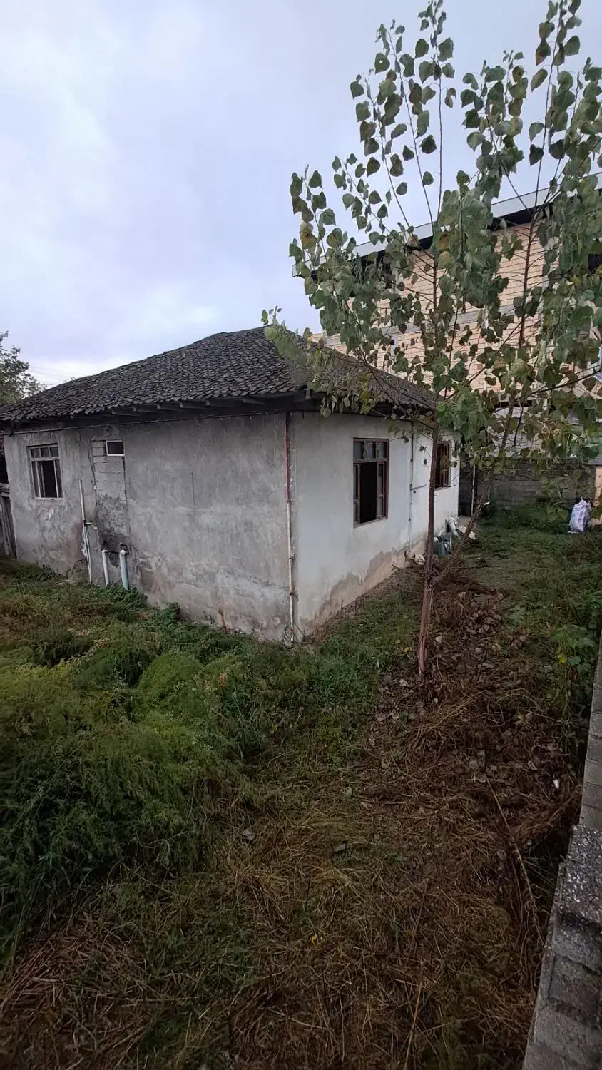 فروش زمین و ویلای کلنگی|فروش زمین و ملک کلنگی|تالش, هشتپر|دیوار