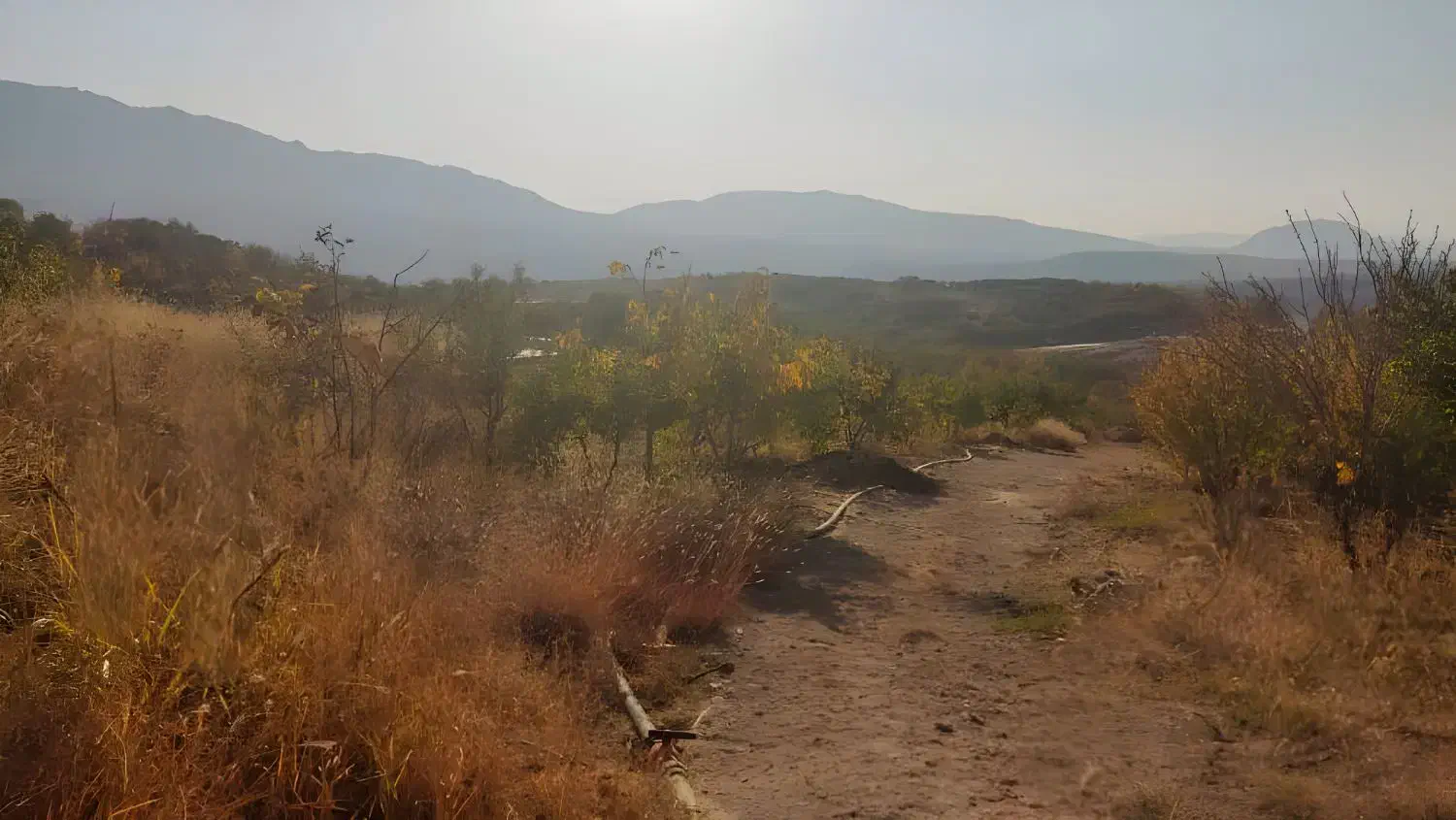 باغ معاوضه با خودرو|فروش زمین و ملک کلنگی|زاینده رود, |دیوار