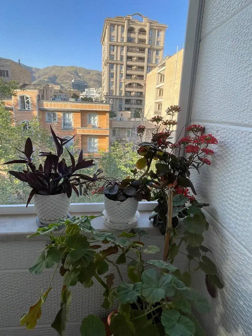 اقدسیه ازگل/۹۵متر/دلباز/بازسازی شده|فروش آپارتمان|تهران, ازگل|دیوار