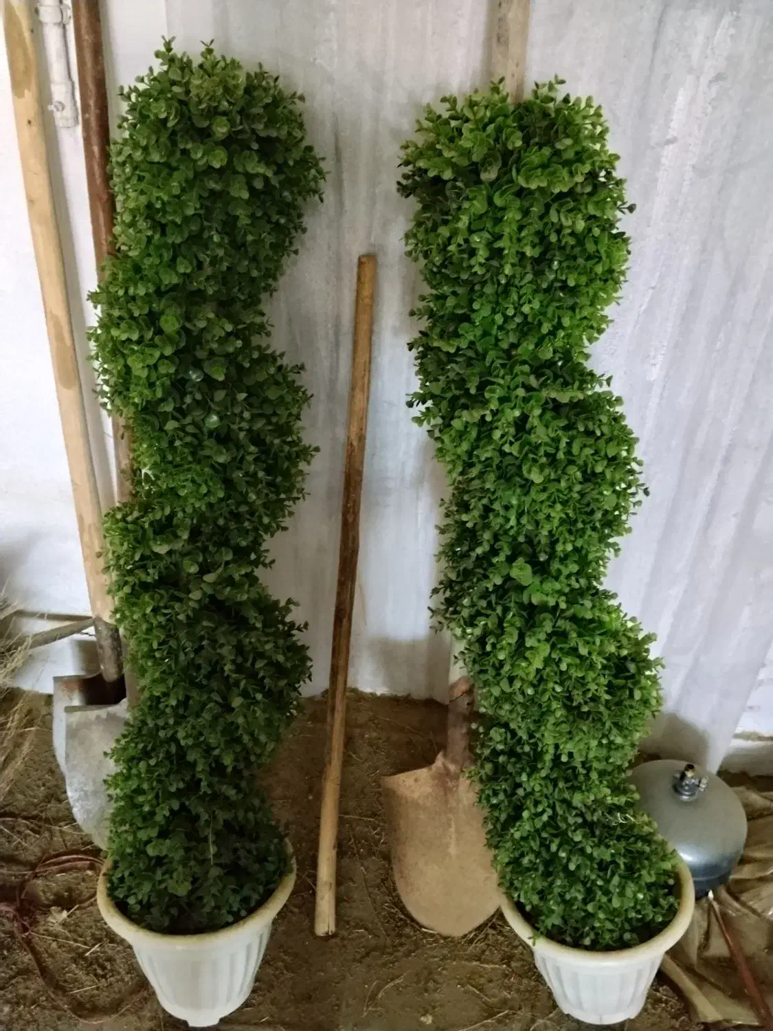 گل مصنوعی|گل مصنوعی|کرمان, |دیوار