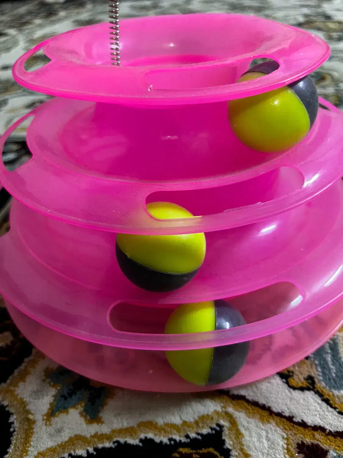 اسباب بازی گربه|لوازم جانبی حیوانات|ری, علایین|دیوار