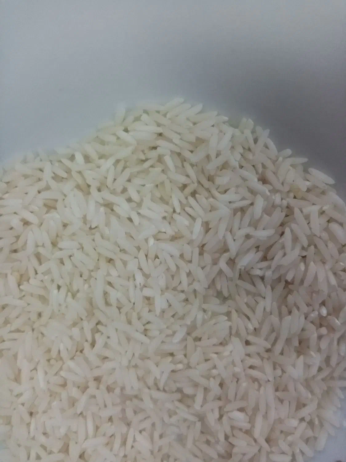 برنج|خوردنی و آشامیدنی|املش, |دیوار