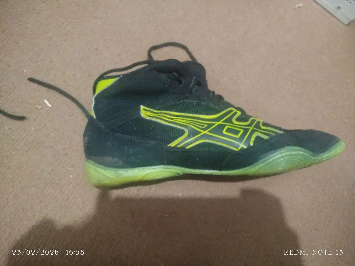 کفش کشتی|تجهیزات ورزشی|کوار, |دیوار