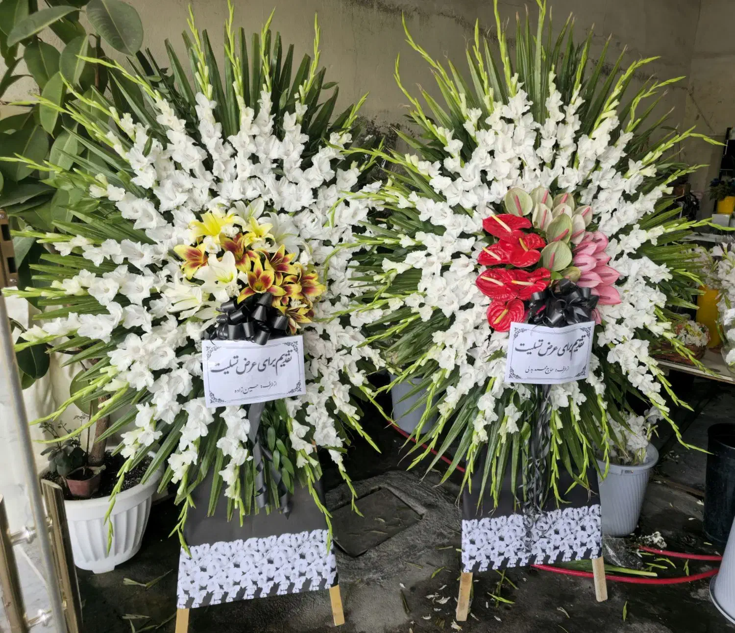 تاج گل ، باکس گل ، دسته گل|گل و گیاه طبیعی|شهریار, شهریار|دیوار