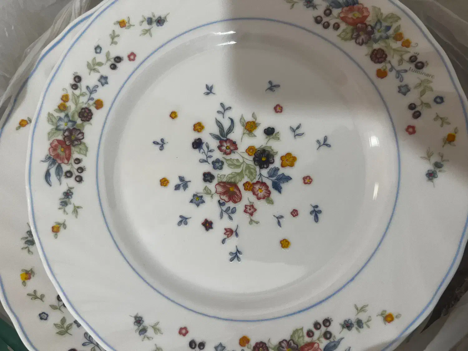 ارکوپال|ظروف سرو و پذیرایی|شیراز, احمدآباد|دیوار