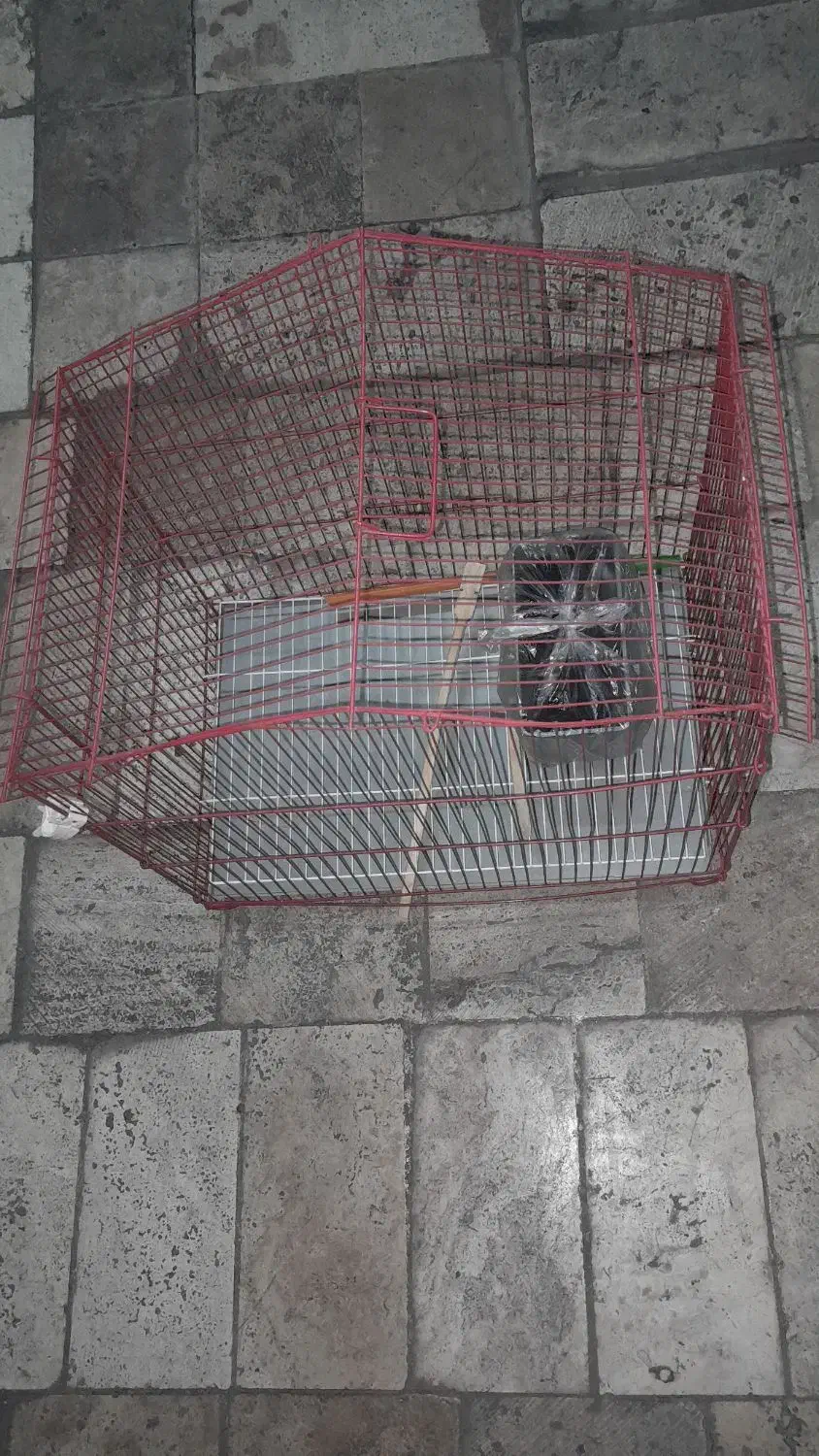 قفس پرنده|لوازم جانبی حیوانات|تهران, باغ خزانه|دیوار