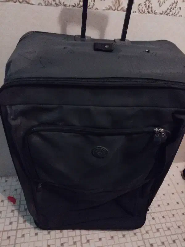 چمدان|کیف، کفش، کمربند|شیراز, سینما سعدی|دیوار