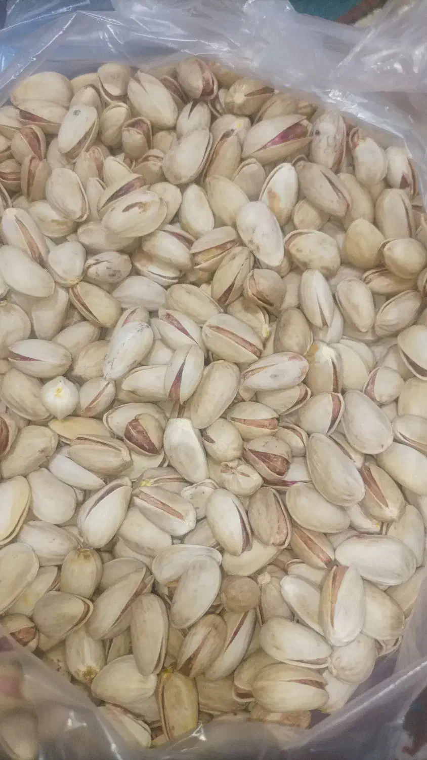 پسته اکبری|عمدهفروشی|نیریز, |دیوار