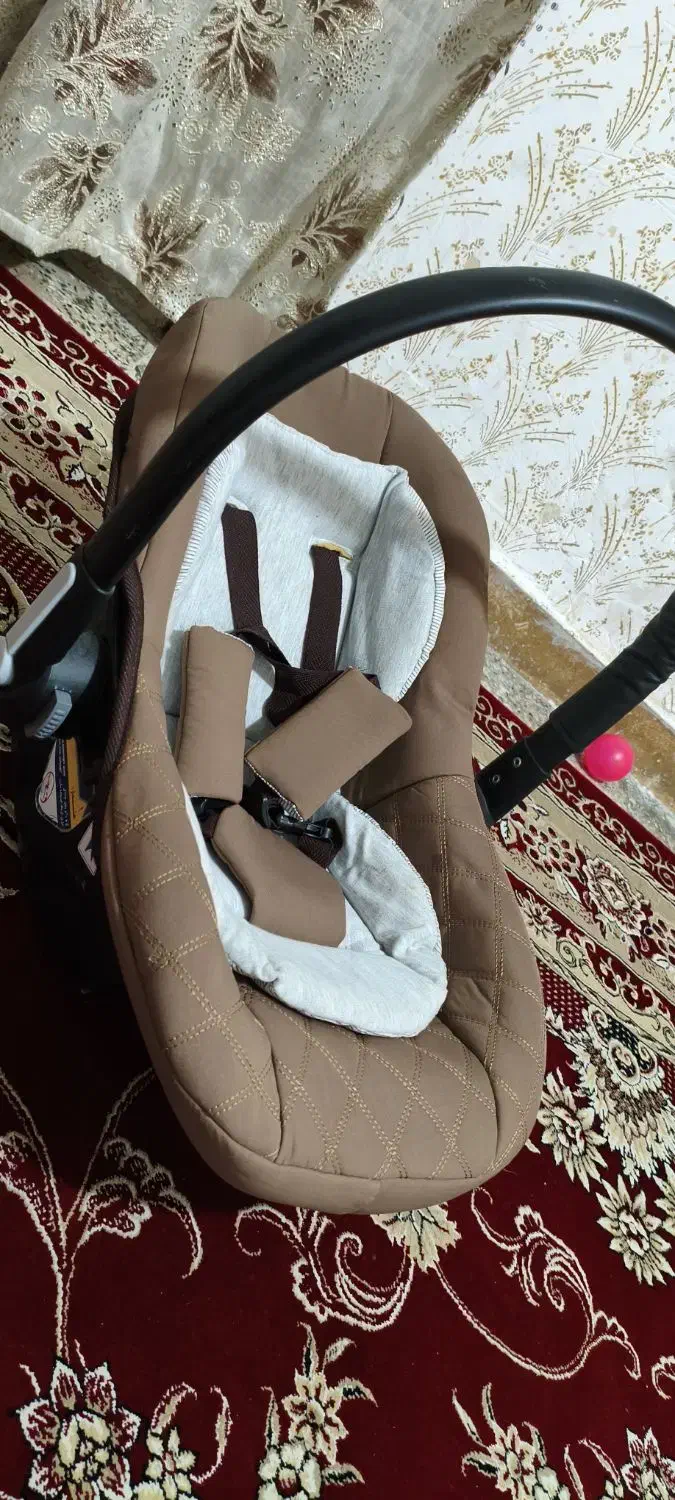 کریر نو نو|کالسکه و لوازم جانبی|یاسوج, |دیوار