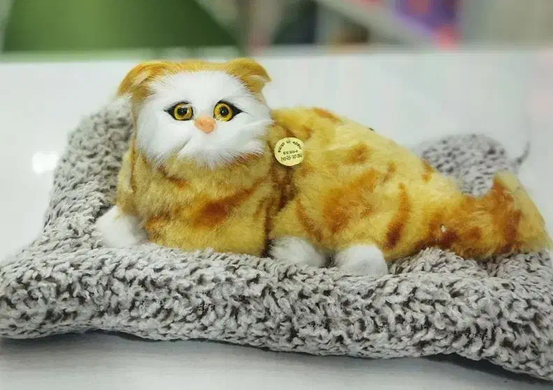 گربه های موزیکال|اسباب‌بازی بچه|یزد, |دیوار