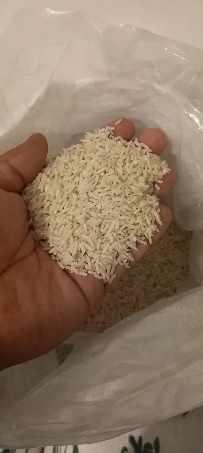 برنج دمسیاه|خوردنی و آشامیدنی|تهران, سلسبیل شمالی|دیوار