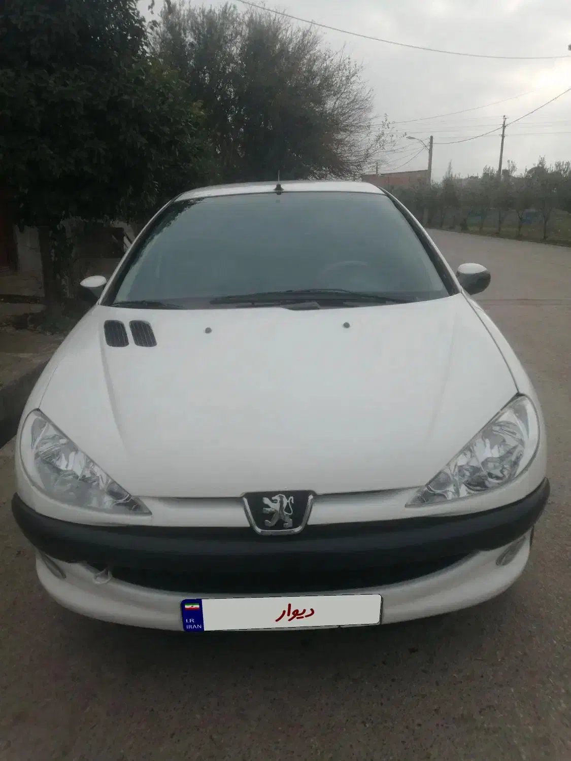 پژو 206 SD|خودرو سواری و وانت|گرگان, |دیوار