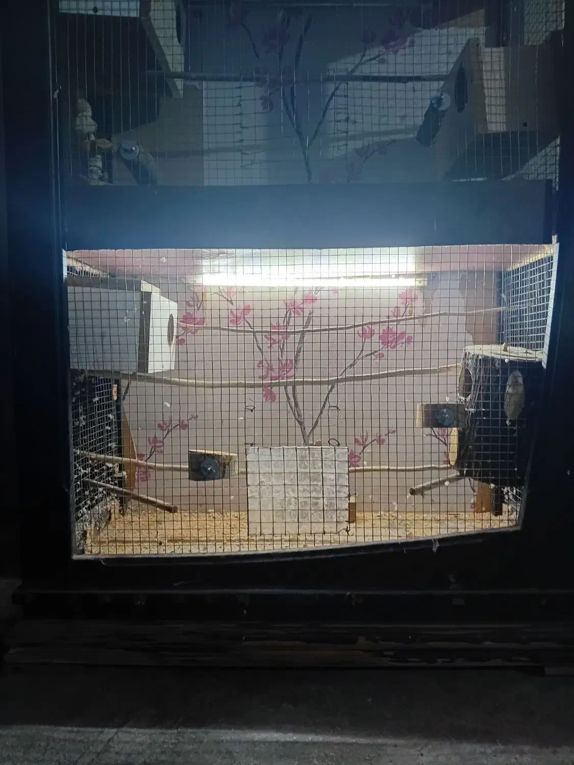 قفس ۳ طبقه بزرگ و شیک انواع پرنده|لوازم جانبی حیوانات|دوگنبدان, |دیوار