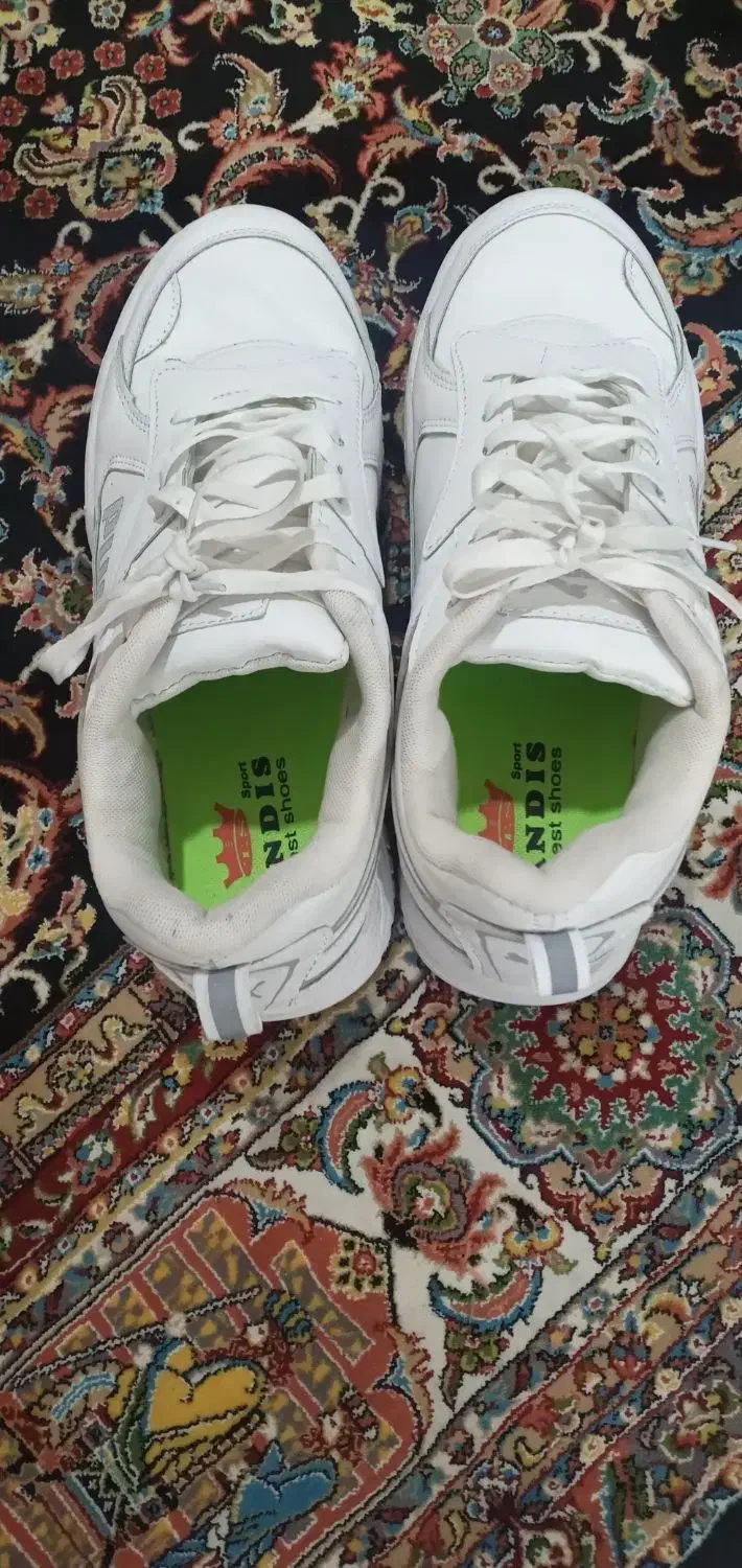 کتونی مردانه زنانه|کیف، کفش، کمربند|تهران, مشیریه|دیوار